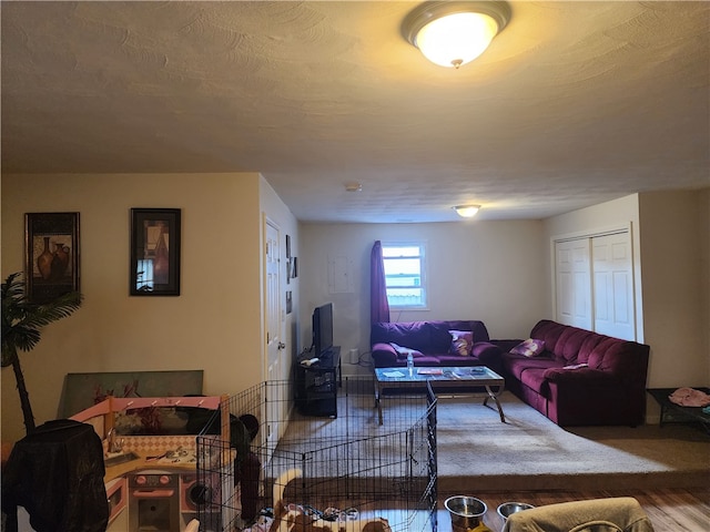 living room with hardwood / wood-style floors and a textured ceiling