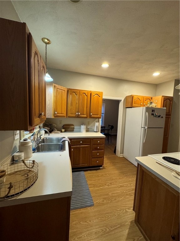 kitchen featuring hanging light fixtures, a textured ceiling, light hardwood / wood-style flooring, sink, and white refrigerator