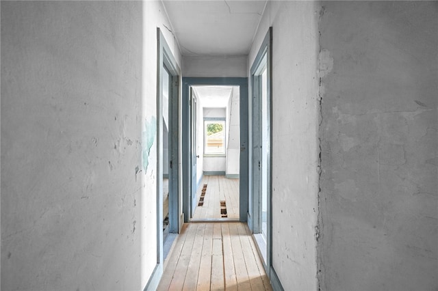 hall featuring light hardwood / wood-style floors