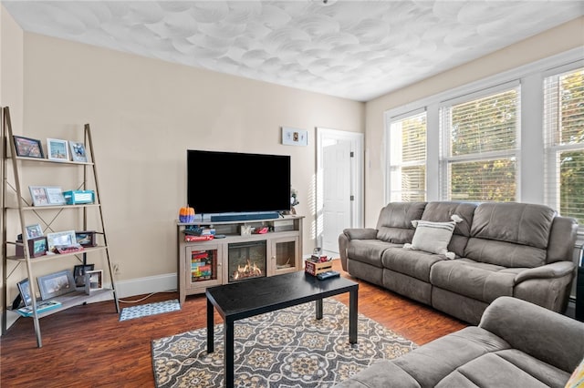 living room with hardwood / wood-style flooring