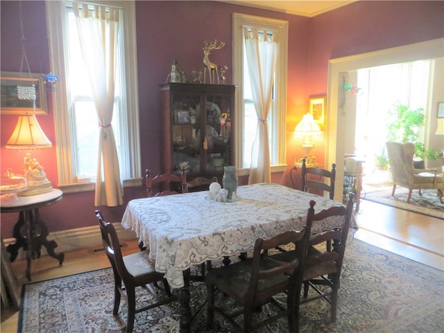 dining area featuring hardwood / wood-style flooring