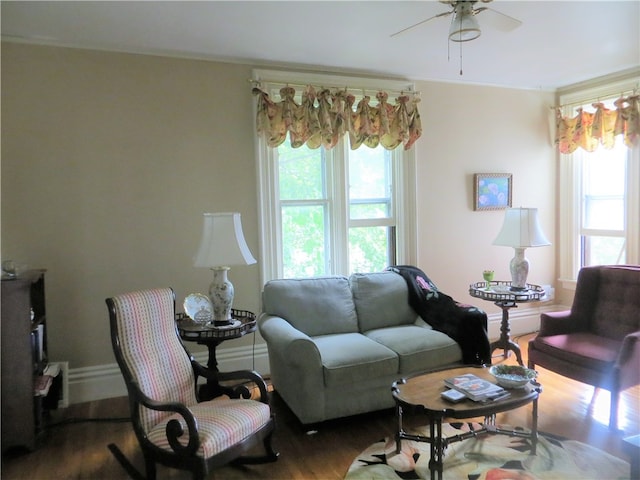 living room featuring ceiling fan and hardwood / wood-style floors