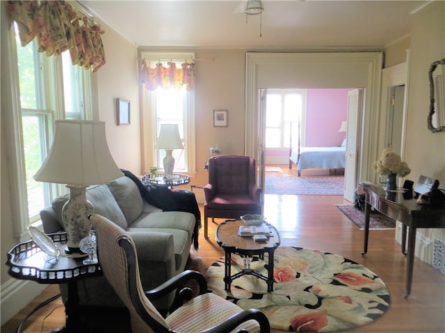 living room with light hardwood / wood-style floors and a wealth of natural light