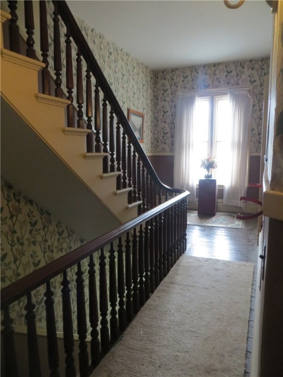 stairs featuring hardwood / wood-style flooring