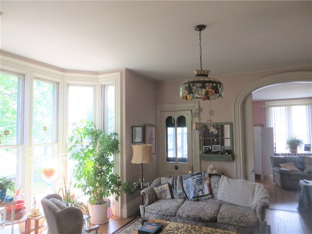 living room featuring ornamental molding, wood-type flooring, and plenty of natural light