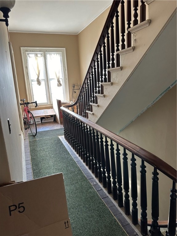 stairway with ornamental molding and carpet flooring