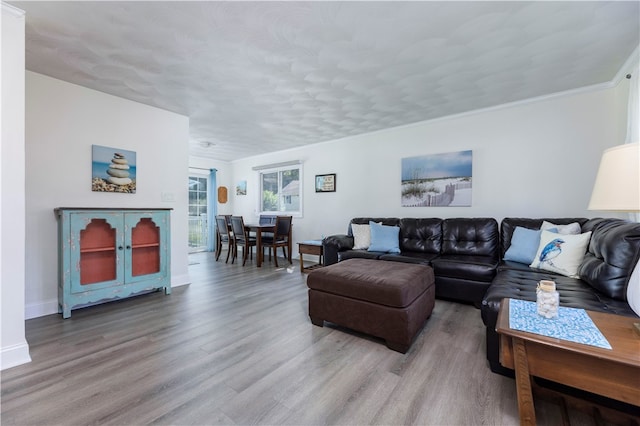 living room featuring hardwood / wood-style floors and crown molding