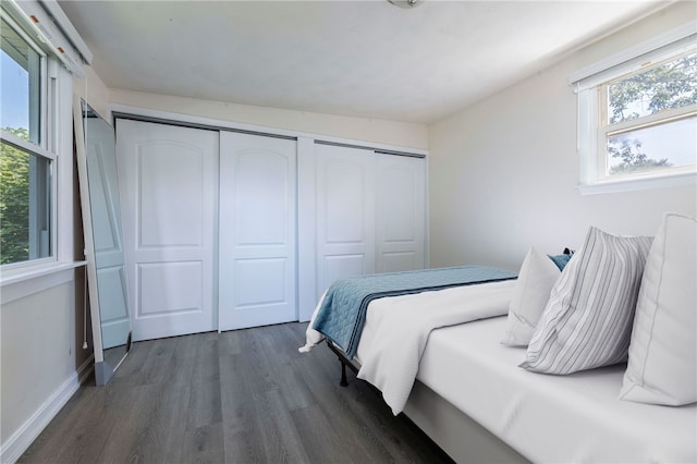 bedroom featuring multiple closets, dark wood-type flooring, and multiple windows