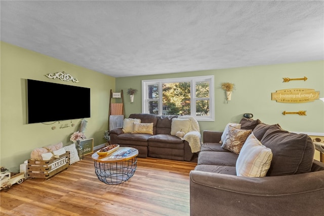 living room featuring light hardwood / wood-style floors and a textured ceiling