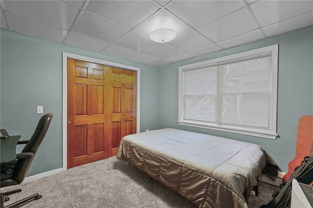 bedroom with a paneled ceiling and carpet flooring