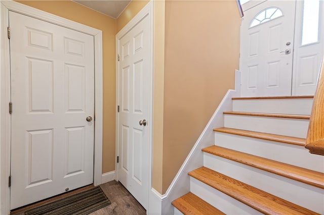 stairway with hardwood / wood-style flooring