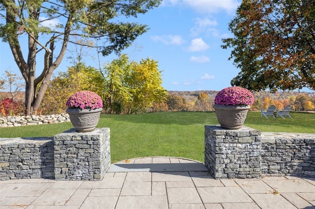 view of yard with a patio area