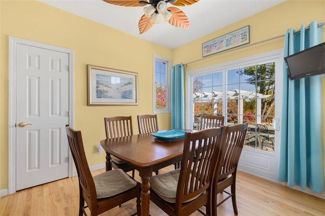 dining space with ceiling fan and light wood-type flooring