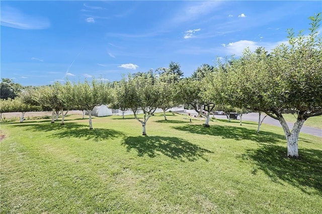 view of home's community featuring a yard