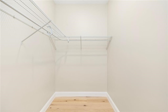 walk in closet with hardwood / wood-style floors