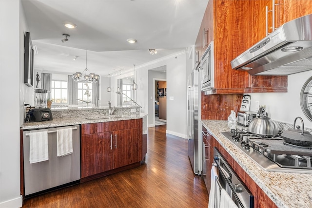 kitchen featuring dark wood-type flooring, stainless steel appliances, sink, ventilation hood, and light stone countertops