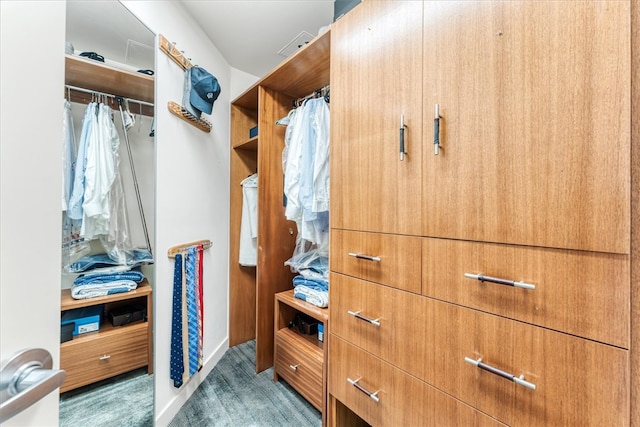 view of walk in closet