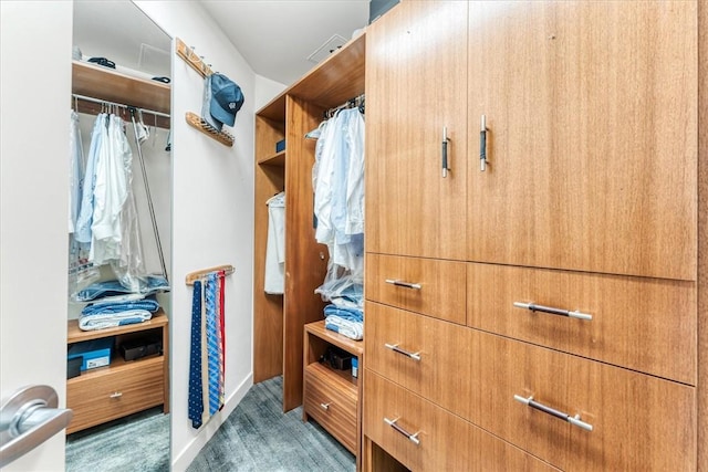 walk in closet featuring carpet
