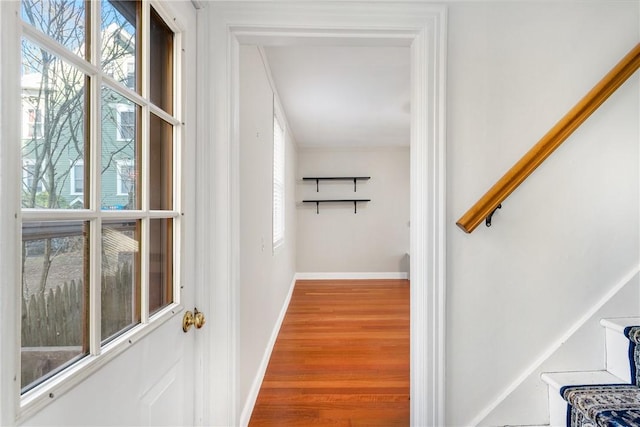 interior space with plenty of natural light and wood-type flooring