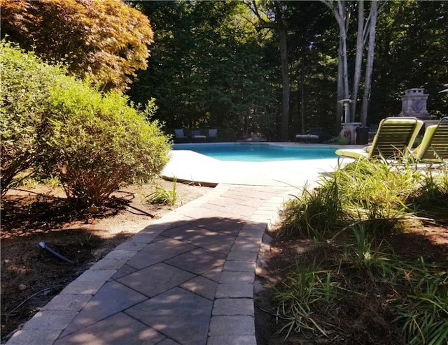 view of swimming pool featuring a patio area