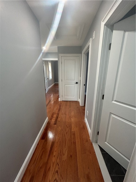 hall featuring wood-type flooring