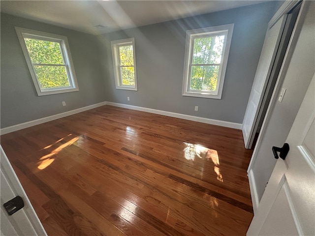 interior space with plenty of natural light and dark hardwood / wood-style flooring