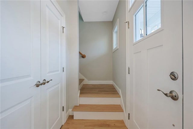 stairs with hardwood / wood-style flooring