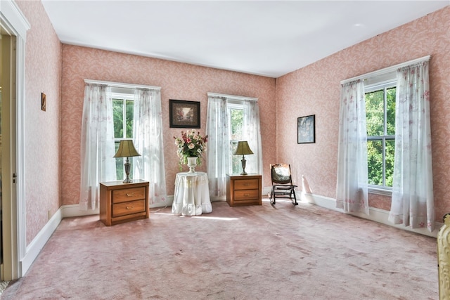 unfurnished room featuring a wealth of natural light and light carpet