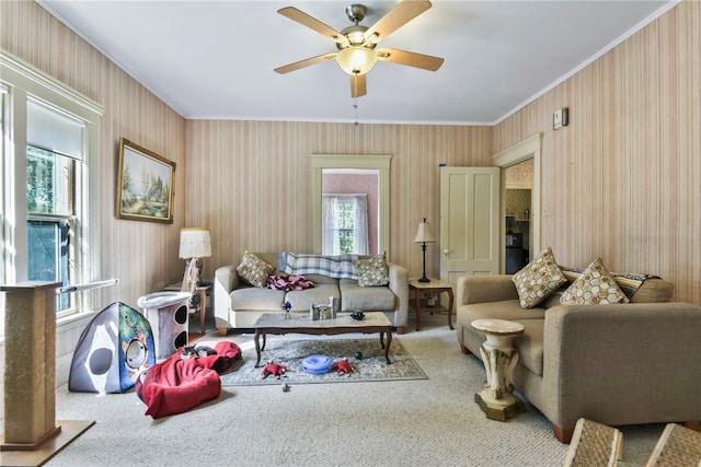 carpeted living room with ceiling fan and ornamental molding