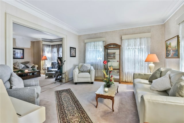 carpeted living room with ornamental molding