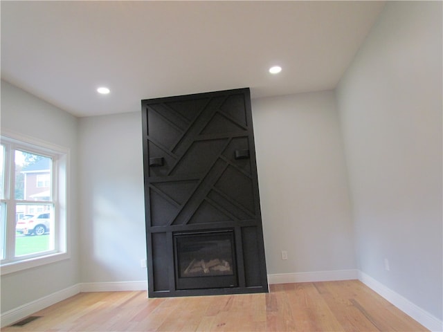 details featuring wood-type flooring and a fireplace