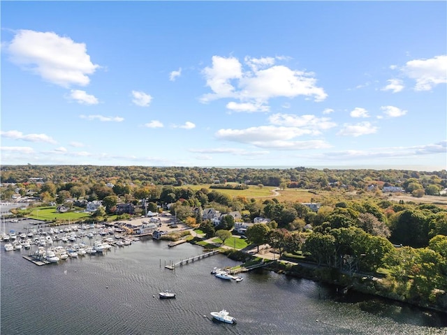 60 Avondale Rd, Westerly, RI 02891 - aerial view of numerous boat docks, a large body of water, and a tree filled landscape