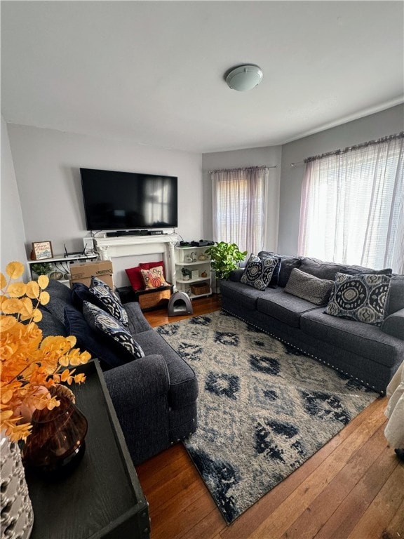 living room featuring dark hardwood / wood-style flooring