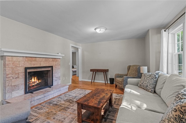 living room with a fireplace and hardwood / wood-style flooring