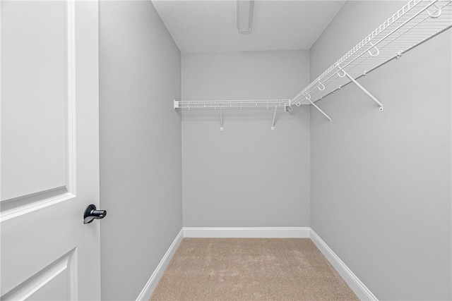 walk in closet with carpet floors