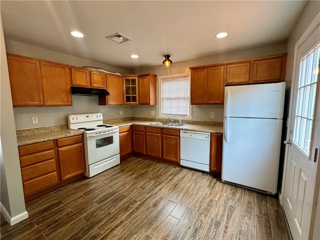 kitchen with sink, white appliances, dark wood-type flooring, and a wealth of natural light