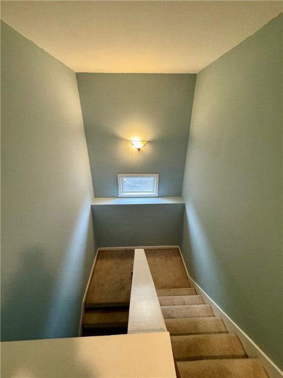 staircase with carpet