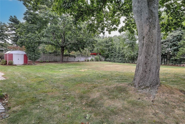 view of yard featuring a storage shed