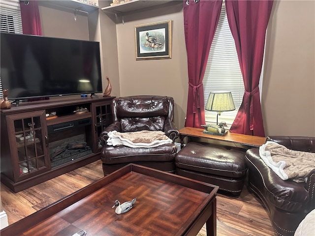 living room featuring hardwood / wood-style flooring