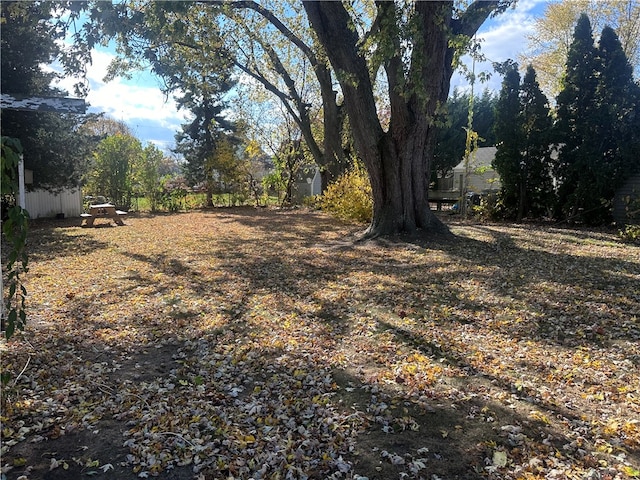 view of yard