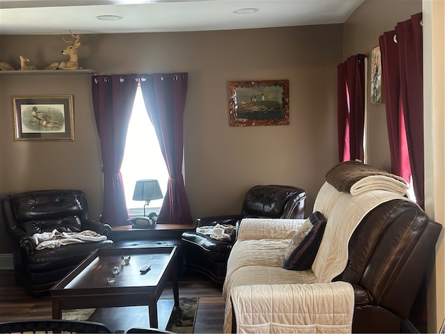 living room with wood-type flooring