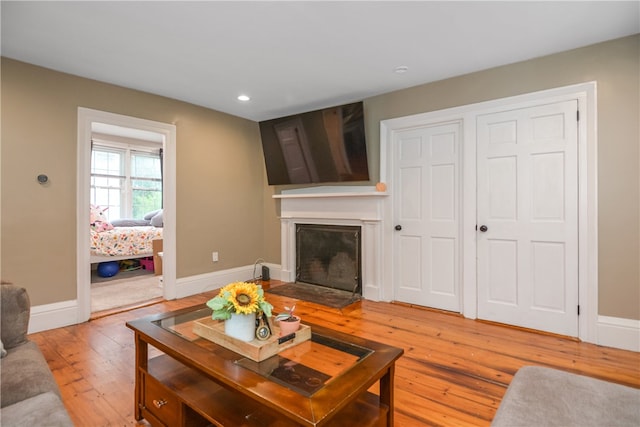 living room with hardwood / wood-style floors