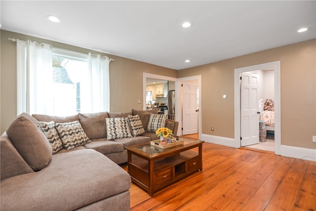 living room featuring wood-type flooring