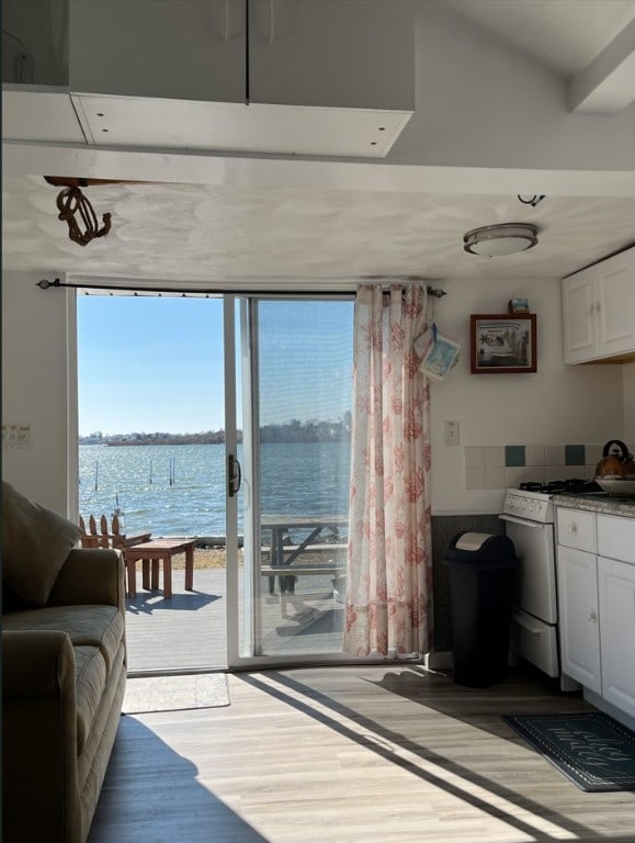 living room featuring light hardwood / wood-style floors and a water view