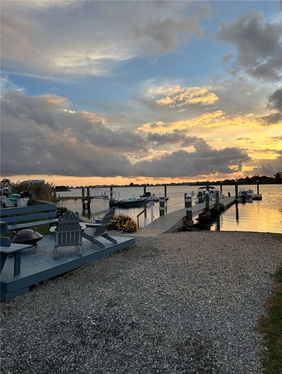 dock area with a water view