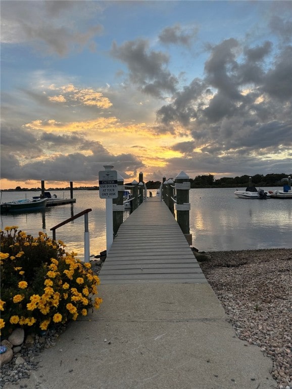 dock area with a water view