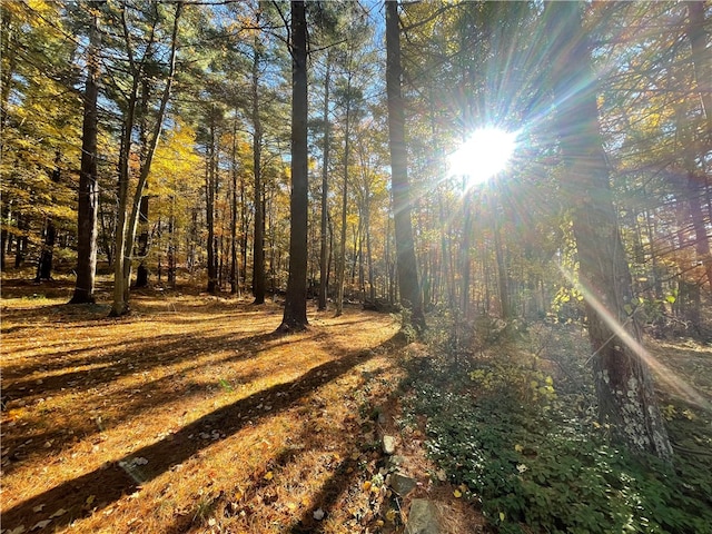 view of nature