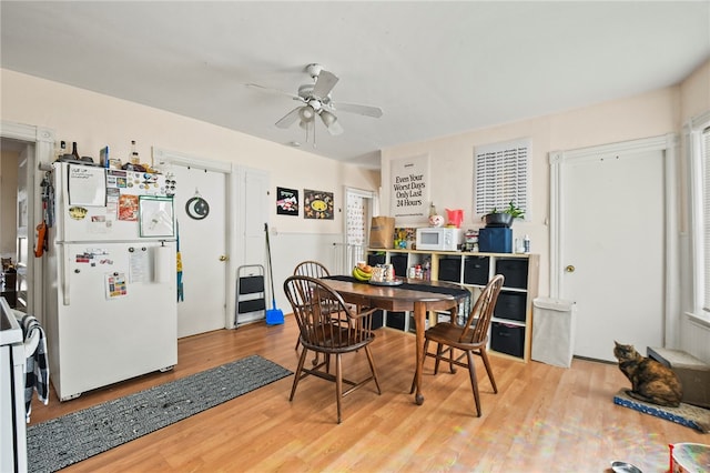 dining area with ceiling fan and light hardwood / wood-style floors