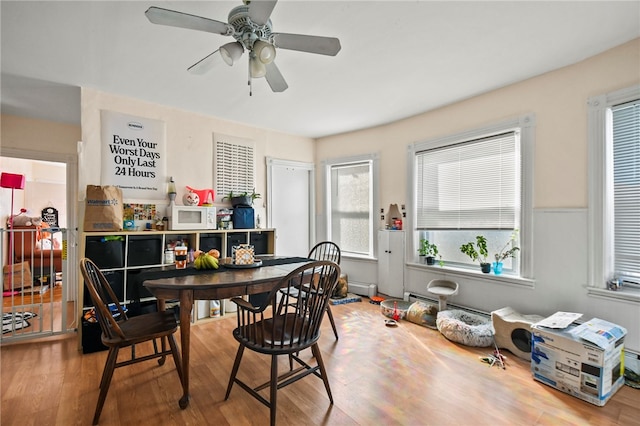 dining space featuring wood-type flooring and ceiling fan