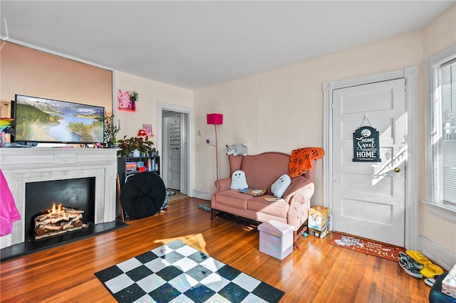 living room with wood-type flooring